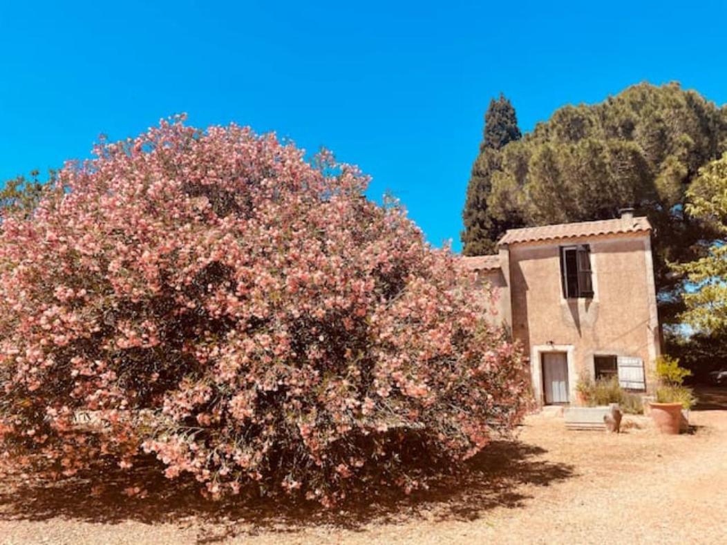 Вілла Casa Cote Sud - Mas Bois Fontaine Нім Екстер'єр фото